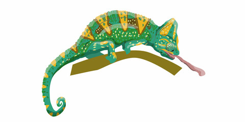 Veiled chameleon is hunting. Realistic vector reptile