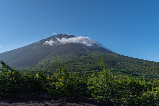 奥庭から見える富士山