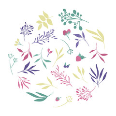 Forest leaves and berries circle. Hand drawn isoldated elements.