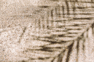 Abstract shadows of palm leaves on texture of rocky ground of beach