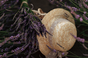huge lavender field of beautiful flowers in Ukraine
