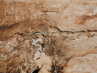 old wall texture background, grunge background