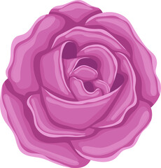 Fototapeta na wymiar Rose flower clipart design illustration