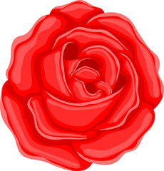Rose flower clipart design illustration