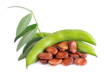 Fresh broad beans in pods with green leaf, isolated on white background. Dry fava beans.