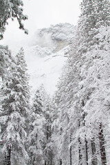 yosemite winter