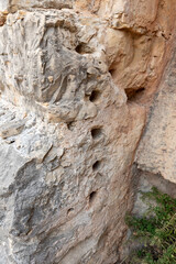 The ruins  of the Monfort fortress are located on a high hill overgrown with forest, not far from Shlomi city, in the Galilee, in northern Israel