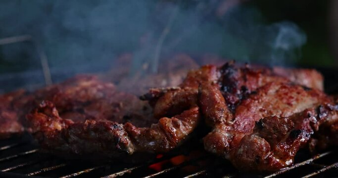 Meat grilled on barbecue grill. Dinner picnic party concept. Copy space.