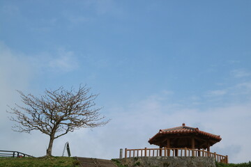 There is a red gazebo and a dead tree on the top of the mountain under the blue sky and white clouds