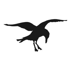 Silhouette of flying seagulls. Hand drawn illustration converted to vector.