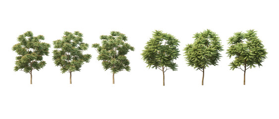 Many trees on a white background