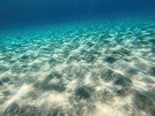Fototapeta na wymiar Underwater scene from Spain. Mediterranean sea in Costa Brava, near the village Palamos