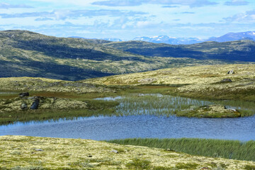 Fototapeta na wymiar Mountains in Innerdalen(Innset) Norway