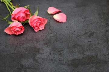 Rosen auf einem dunklen Schieferhintergrund mit Platz für Text.
