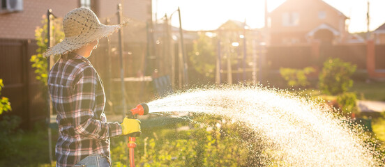 Banner woman gardener in work clothes watering the beds in her vegetable garden on sunny warm...