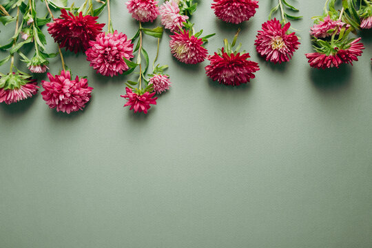 Overhead View Of Daisy Red Flowers On Green Surface Blossom  Copy Space