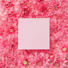 Empty paper card above pink flowers. Minimal romantic composition. Border arrangement.