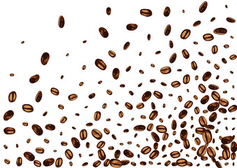 Dark Robusta Roasted Vector White Background.