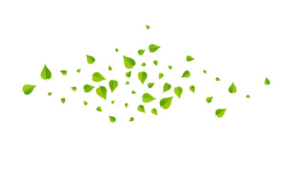 Swamp Leaves Abstract Vector White Background