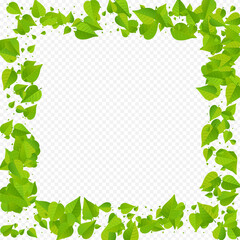 Mint Greens Flying Vector Transparent Background