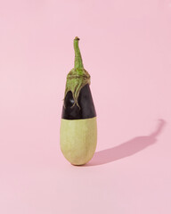Creative design of eggplant and zucchini on pastel background. Minimal arrangement of ''live twice'' concept.