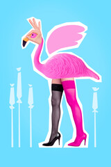 Creative magazine collage of strange beast flamingo with female feet wearing black color stockings...