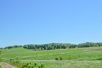 Mount Agamenticus Scenic View - May 1, 2022, York, Maine, United States	