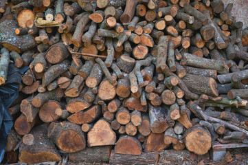 Wall of cut firewood stored made with pine and oak logs. Nature backgrounds and textures.