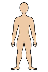 Fototapeta premium The human body. Color vector illustration. Muscular man in full growth. Unknown person. Isolated background. Cartoon style. Medical theme. Idea for web design