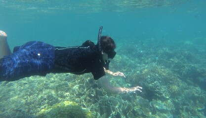 Seeking cute fish into beautiful deep blue sea coral