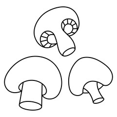 Champignon. Whole and halved mushroom. Sketch. Set of vector illustrations. Coloring book for children. Edible ingredient with stem and cap. Preparing mushrooms for grilling. 