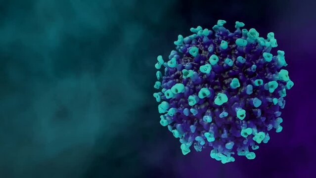 Microscopic view of a infectious SARS-CoV-2 omicron arcturus virus cell. 3D endless loop animation