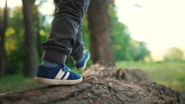 baby boy playing in the forest park. close-up child feet walking on a fallen tree log. happy family kid dream concept. a child in sneakers walks lifestyle on a fallen tree in park