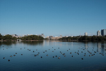 Fototapeta premium lake in the city