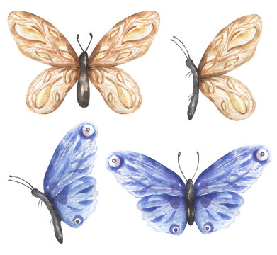 Delicate Beige And Blue Butterfly Clipart Set, Watercolor Insects Illustration, Butterflies Clip Art, Wedding Invitation, Logo Design, Baby Shower Card