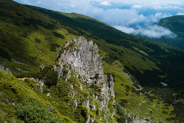 Mountain hiking. Beautiful mountain views. Coniferous forests and alpine meadows