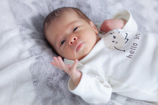 newborn baby lies and looks at the camera. High quality photo