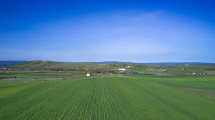 Fototapeta na wymiar Green farm fields aerial view in early spring on a clear sunny day. Agriculture and landscape aerial photography