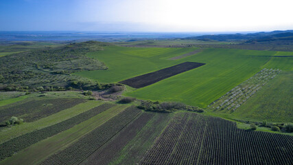 Fototapeta na wymiar Green farm fields aerial view in early spring on a clear sunny day. Agriculture and landscape aerial photography