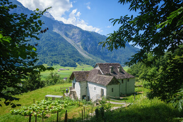 Fototapeta na wymiar idyllic farmhouse in the swiss alps