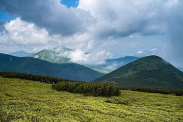 Mountain hiking. Beautiful mountain views. Coniferous forests and alpine meadows