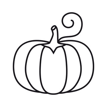 The pumpkin outline icon. The black outline of a pumpkin. Vector illustration isolated on a white background for design and web.