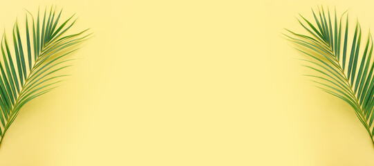 Fototapeta premium Image of tropical green palm over yellow pastel background
