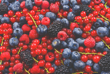 Blackberry, raspberry, blueberry,  red currant and mint background.