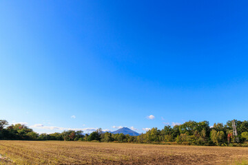 秋が訪れた遠目の羊蹄山