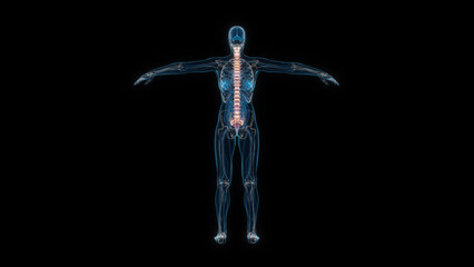 Human female body spine 3d hologram back view. 3D illustration