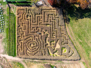 Corn Maze Overhead Drone Shot