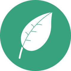 Green Leaf   vector icon  Which Can Easily Modify Or Edit 
