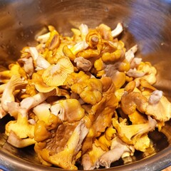 chicken with mushrooms and onions