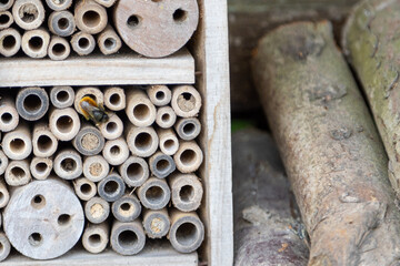 An insect hotel for bees, wasps and other insects made of wood.